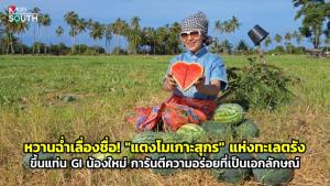 (ชมคลิป) หวานฉ่ำเลื่องชื่อ! "แตงโมเกาะสุกร" แห่งทะเลตรัง ขึ้นแท่น GI น้องใหม่ การันตีความอร่อยที่เป็นเอกลักษณ์