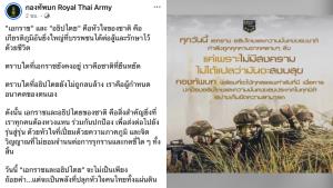 กองทัพบกเผยแพร่เพลง "แผ่นดินของเรา" ตอกย้ำ "เอกราชและอธิปไตย" หลังเหตุปะทะชายแดนช่องบก
