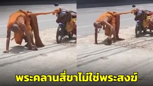 พระคลานสี่ขาไม่ใช่พระสงฆ์! แต่อ้างเป็นฤๅษี ตร.ตรวจสอบไม่พบบัตรแสดงตัว ก่อนหนีหาย