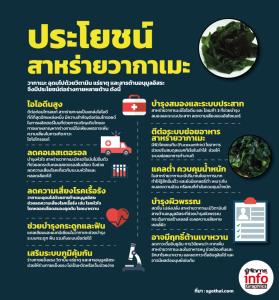 ประโยชน์ สาหร่ายวากาเมะ