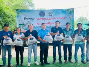 เกษตรกรยืนยัน "ปลากะพงขาว" ช่วยคุมปลาหมอคางดำในบ่อได้ ซีพีเอฟ-ประมงเพชรบุรีเดินหน้ากองทุนต่อเฟส 3