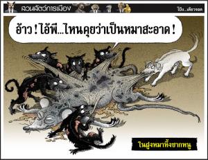 ในฝูงหมาทึ้งซากหนู