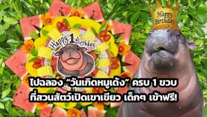 ไปฉลอง “วันเกิดหมูเด้ง” ครบ 1 ขวบ ที่สวนสัตว์เปิดเขาเขียว เด็กๆ เข้าฟรี!