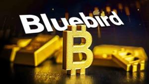 Bluebird หนุนแผนทอง–คริปโต บุกเซ็กเมนต์ “Bitcoin Streaming” หวังพอร์ตทะลุ 30 BTC ใน 3 ปี