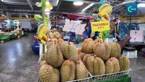 คลิกคลิป : ห่วงโซ่อุปทานสีเขียวหนุนผู้ประกอบการทุเรียนไทยส่งทุเรียนบุกตลาดจีน