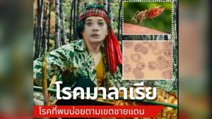 ทหารชายแดนเสี่ยง "มาลาเรีย"? หมอแล็บฯ เตือน "ยุงก้นปล่อง" คือพาหะหลัก