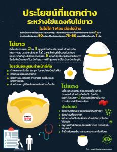 ประโยชน์ที่แตกต่างระหว่างไข่แดงกับไข่ขาว