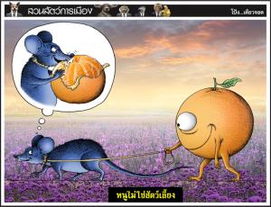 หนูไม่ใช่สัตว์เลี้ยง