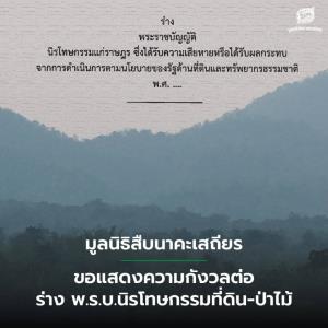 มูลนิธิสืบฯ ห่วงร่าง พ.ร.บ.นิรโทษกรรมที่ดิน-ป่าไม้ เปิดช่องเอื้อนายทุน แนะทบทวนอย่างรอบด้าน
