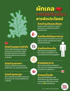 ผักเคล ราชินีผักใบเขียวสารพัดประโยชน์