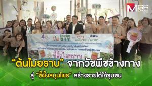 "ต้นไมยราบ" จากวัชพืชข้างทาง สู่ "ขี้ผึ้งสมุนไพร" สร้างรายได้ให้ชุมชน