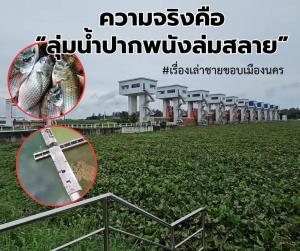 ความจริงคือ “ลุ่มน้ำปากพนังล่มสลาย”