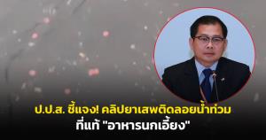 ป.ป.ส. ชี้แจง! คลิปยาเสพติดลอยน้ำท่วมที่แท้ "อาหารนกเอี้ยง"