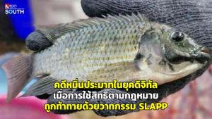 คดีหมิ่นประมาทในยุคดิจิทัล เมื่อการใช้สิทธิตามกฎหมายถูกท้าทายด้วยวาทกรรม SLAPP