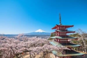 เกินรับไหว! เมืองฟูจิโยชิดะ จ.ยามานาชิ ยกเลิก “เทศกาลดอกซากุระ ชมวิวฟูจิ” เซ่นพิษนักท่องเที่ยวล้น