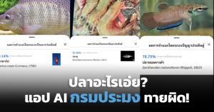 ปลาอะไรเอ่ย? รวมดราม่า Thailand FishAI แอปกรมประมง ลืองบ 9 ล้าน สแกนปาท่องโก๋เป็นปลาทอง