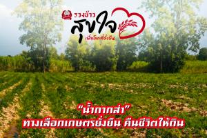 “น้ำกากส่า” ทางเลือกเกษตรยั่งยืน คืนชีวิตให้ดิน