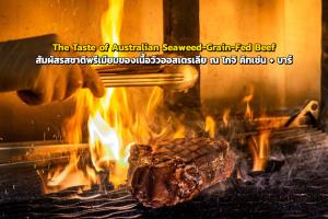 "The Taste of Australian Seaweed-Grain-Fed Beef" สัมผัสรสชาติพรีเมียมของเนื้อวัวออสเตรเลีย ณ โกจิ คิทเช่น + บาร์