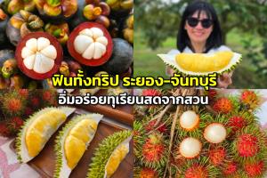 ฟินทั้งทริป ระยอง-จันทบุรี อิ่มอร่อยทุเรียนสดจากสวน