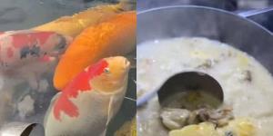 หนุ่มเศร้าปลาคาร์พตาย! เพื่อนสนิทใจดีช่วย "ฌาปนกิจ" ทั้งต้ม-ผัด อร่อยเด็ดจนต้องบอกต่อ