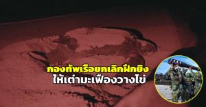 มิติใหม่ “กองทัพเรือ” ยกเลิกฝึกยิงปืนใหญ่ ให้เต่ามะเฟืองวางไข่