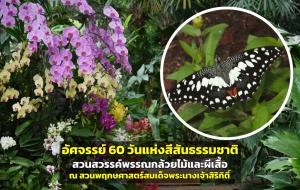 อัศจรรย์ 60 วันแห่งสีสันธรรมชาติ “สวนสวรรค์พรรณกล้วยไม้และผีเสื้อ” ณ สวนพฤกษศาสตร์สมเด็จพระนางเจ้าสิริกิติ์
