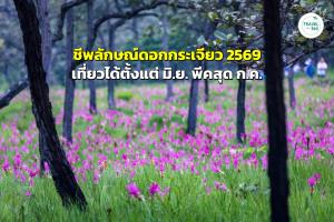 คาดการณ์ “ชีพลักษณ์ดอกกระเจียว 2569” เที่ยวได้ตั้งแต่มิถุนายน พีคสุดกรกฎาคม
