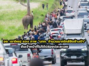 อช. เขาใหญ่ แจง ภาพ “นทท. จำนวนมากใกล้ชิดช้างป่า” ยันเจ้าหน้าที่ไม่ได้ปล่อยปละละเลย