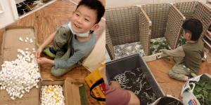 ชีวิตมนุษย์แม่! ลูกชาย 6 ขวบ อยากทำผ้าห่มเอง พ่อเลยจัดไข่ไหม 10,000 ฟอง เปลี่ยนบ้านเป็นฟาร์มขนาดย่อม ทำแม่เหนื่อยจนอยากแจ้งตำรวจ