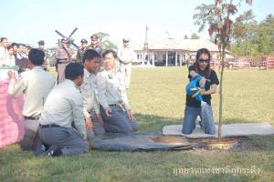 สถิตในความทรงจำ ต้นเมเปิล “พระองค์ภา” ทรงปลูก อีกหนึ่งจุดไฮไลต์บนภูกระดึง