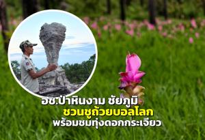 อช.ป่าหินงาม ชัยภูมิ ชวน “ชูถ้วยบอลโลก” พร้อมชมทุ่งดอกกระเจียว
