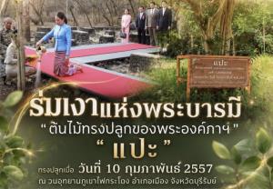 ร่มเงาแห่งพระบารมี “ต้นไม้ทรงปลูกของพระองค์ภาฯ” ณ วนอุทยานภูเขาไฟกระโดง