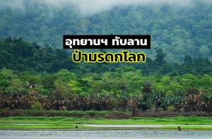 “อรรถพล” มั่นใจเฉือนป่า “อช.ทับลาน” กว่า 1.5 แสนไร่ให้ ส.ป.ก. ไม่กระทบมรดกโลก