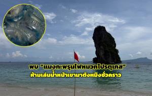 อช.หาดนพรัตน์ธารา-หมู่เกาะพีพี พบแมงกะพรุนไฟพิษร้ายแรงที่สุดในโลก ห้ามเล่นน้ำชายหาดหน้าเขามาตังหมิงชั่วคราว
