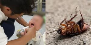 แม่ช็อก! หันไปหยิบช้อนแป๊บเดียว ลูกน้อย 9 เดือนคว้า "แมลงสาบ" เข้าปาก เห็นอีกทีเหลือแต่ขา