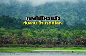 เซฟไม่ไหวแล้ว จับตา “อช.ทับลาน” ป่ามรดกโลก หลังถูกเฉือนพื้นที่ งานนี้ช่วยชาวบ้านหรือนายทุน?
