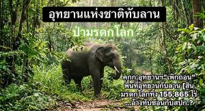 ทับลาน : การคืนความเป็นธรรมให้ประชาชน กับการรักษาสมบัติของชาติ /รศ.ดร.บุญส่ง ชเลธร