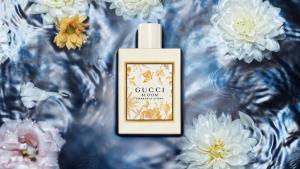 เบ่งบานดั่งสวนดอกไม้บานสะพรั่ง กับ Gucci Bloom Ambrosia d’Oro