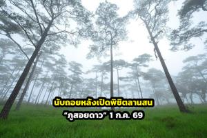นับถอยหลังเปิดพิชิตลานสน “ภูสอยดาว” 1 ก.ค. 69