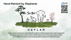 “เคฟล่า” จับมือ “ปางช้างแม่แตง” เปิดคอลเลกชันพิเศษ CEFLAR x SUDA สมทบทุนสร้าง รพ.ช้างเชียงใหม่