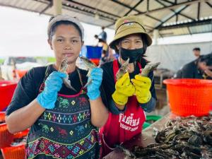 ท็อปส์ จับมือ กรมการค้าภายใน อุ้มเกษตรกรใต้ รับซื้อกุ้งเพิ่ม ผุดเมนูพิเศษ-จัด Shrimp Fair ระบายผลผลิตหลังส่งออกสะดุด
