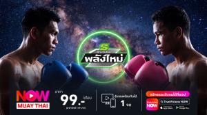 “แมมมอส” แบกน้ำหนัก 2 ปอนด์ดวล น้องเบียร์ ศึกพลังใหม่
