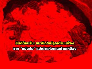 ยินดีต้อนรับ! สมาชิกใหม่จาก “แม่นะโม” แม่เต่าขวัญใจแห่งทะเลท้ายเหมือง ฟักออกจากไข่แล้ว