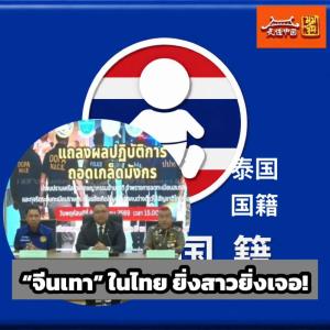 New China Insights:   “กลุ่มจีนเทา” ในไทย ยิ่งสาวยิ่งเจอ !