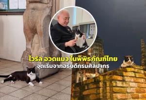 ไวรัล “อวดแมว” ในพิพิธภัณฑ์ไทย กำลังเป็นกระแสสุดฮิต จุดเริ่มต้นจากอธิบดีกรมศิลปากร