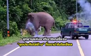 อุทยานแห่งชาติเขาใหญ่ชี้แจง “จุดประทัดไล่ช้าง” ที่ดราม่าในโซเชียล