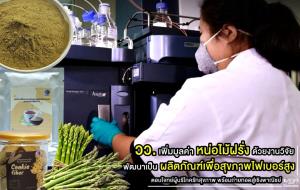 วว. เพิ่มมูลค่า “หน่อไม้ฝรั่ง” ด้วยงานวิจัย พัฒนาเป็นผลิตภัณฑ์เพื่อสุขภาพไฟเบอร์สูง พร้อมถ่ายทอดสู่เชิงพาณิชย์