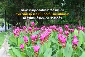 ตระการตาทุ่งดอกไม้กว่า 2.6 แสนต้น ในงาน “สีสรรพรรณไม้ เทิดไท้บรมราชินีนาถ” ณ สวนสมเด็จพระนางเจ้าสิริกิติ์ฯ