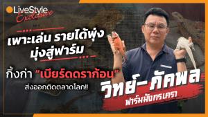 เพาะเล่น-รายได้พุ่ง-มุ่งสู่ฟาร์ม “กิ้งก่าเบียร์ดดราก้อน” ส่งออกติดตลาดโลก!!