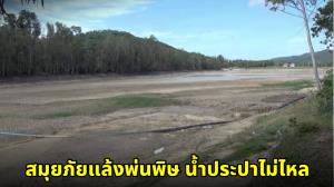 วิกฤตหนัก! สมุยภัยแล้งพ่นพิษ น้ำประปาไม่ไหลนานนับเดือน รถน้ำเอกชนเริ่มขาดแคลน วอนรัฐเร่งช่วยเหลือ